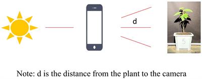 AC-UNet: an improved UNet-based method for stem and leaf segmentation in Betula luminifera